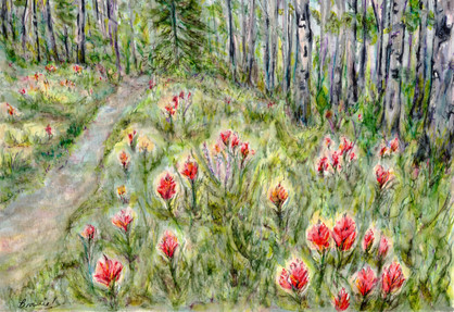 Indian Paintbrush in the Forest