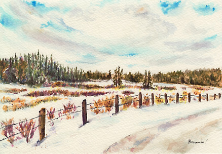 A Winter's View