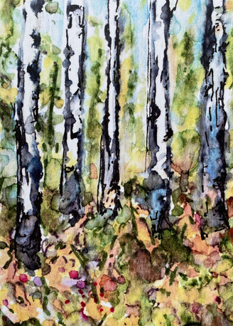 Autumn Aspen 3: Item # - A4