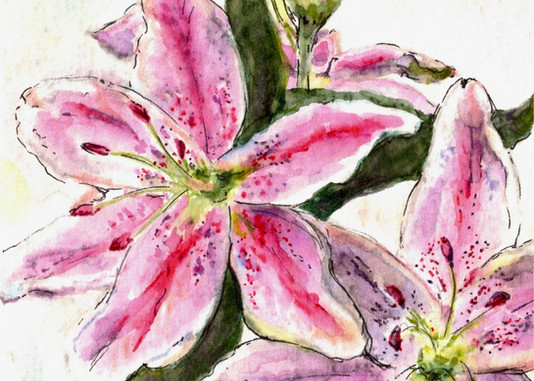 Jane's Lily Detail