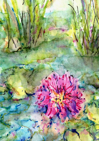 Tiny Lotus: Item # - A49