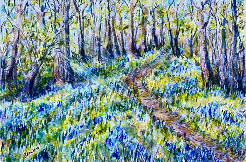 Forest Bluebells