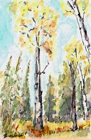 Autumn Aspen 2: Item # - A25