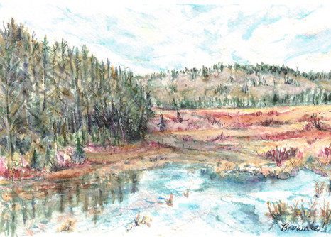 Wetlands in the Valley