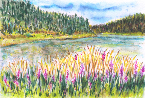 The Lake in Summer: Item # - A55