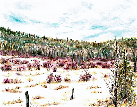 Across the Road in Winter