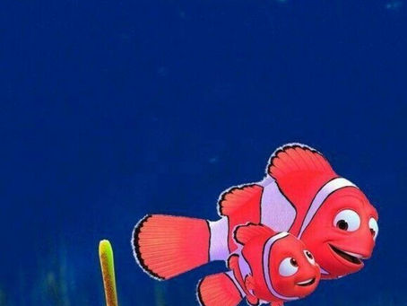 What we can learn from Finding Nemo on this World Ocean Day