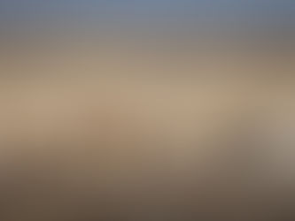 The Best Lenses for Wildlife Photography Safaris (And What I Actually Pack)