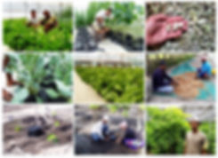 maldive.jpeg