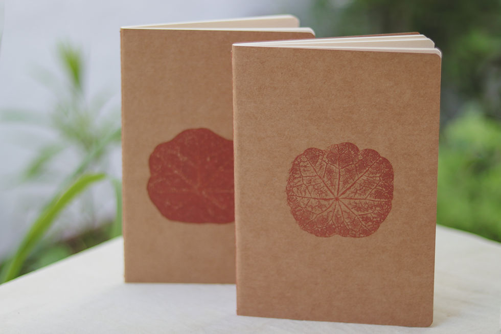 Miniatura: CADERNO FOLHAS