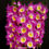 Thumbnail: buy dendrobium nobile red river orchid online