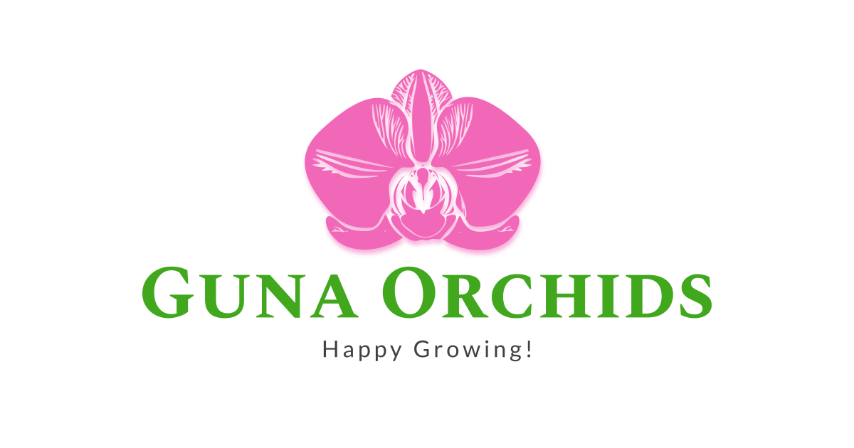 Guna Orchids