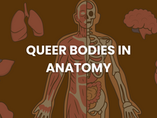 Queer Bodies in Anatomy