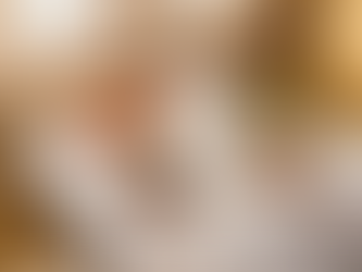 Selection of gourmet dishes: lobster tail, fillet mignon, avocado salad & quinoa, and chocolate mousse