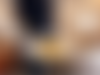 Flight attendant presenting a meal inside private jet