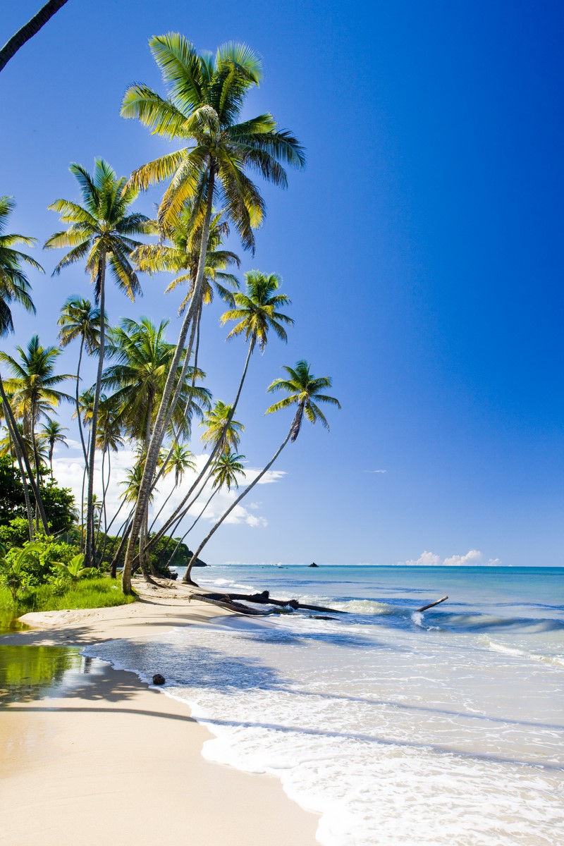 Tricks for Maldives (VRMM)  inflight catering