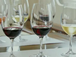 Selection of different wines on private jet table