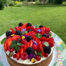 image00003.jpeg