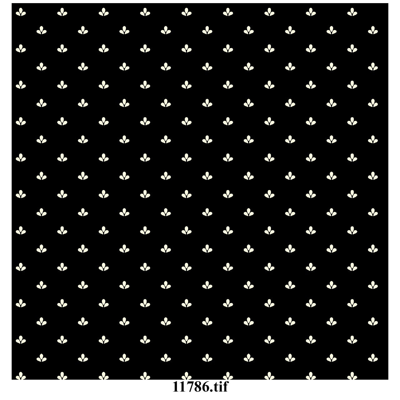 Digital Print (11786.tif)