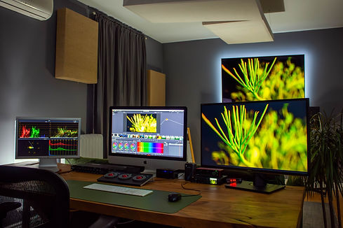 A wooden desk with three computer monitors on it. On the main computer monitor, Davinci Resolve is opened on a clip of a green leaf. The color grading tools of da vinci are open. On the wall a television is mounted with the same green fern on it.