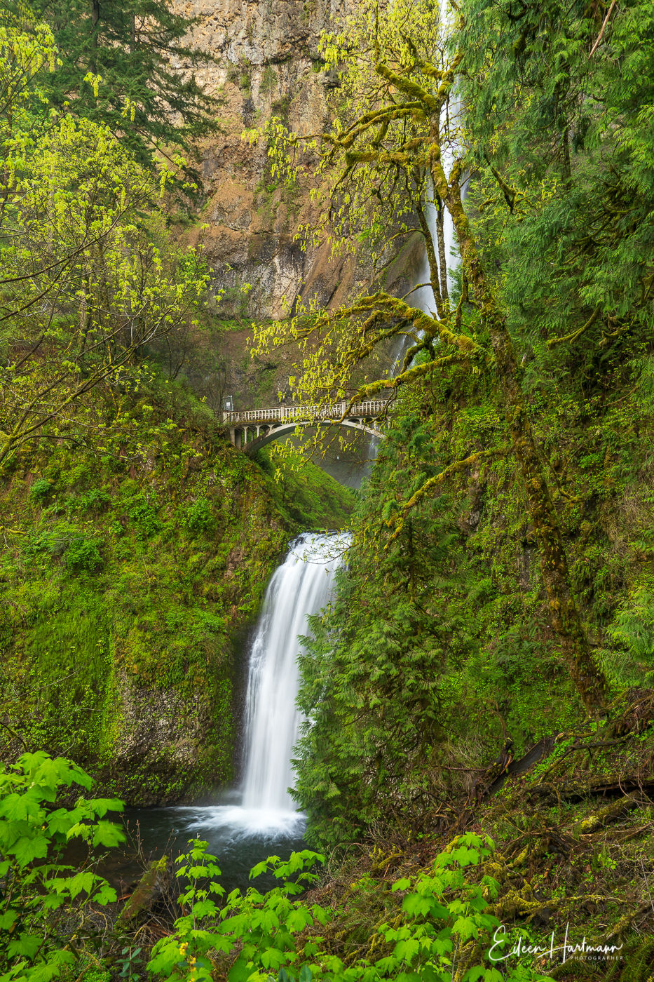 Multnomah Falls