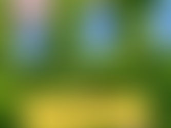 Lunchföreläsning med Akademiska hus