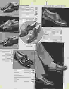 layfayette 4
