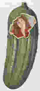 pickles 1
