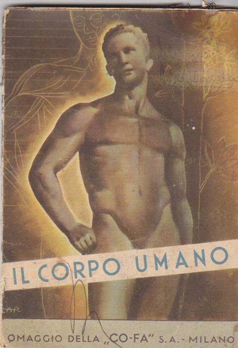 IL Corpo Umano