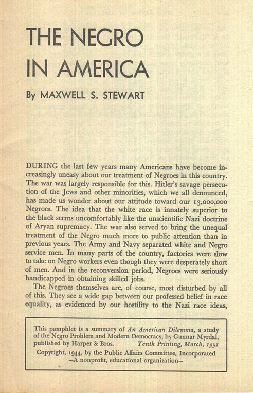 the negro in america