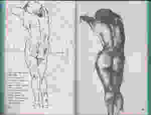 human figure 5