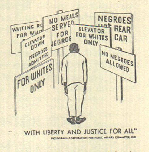 the negro in america