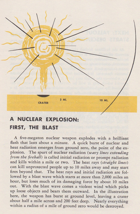 Fallout Protection of brochure