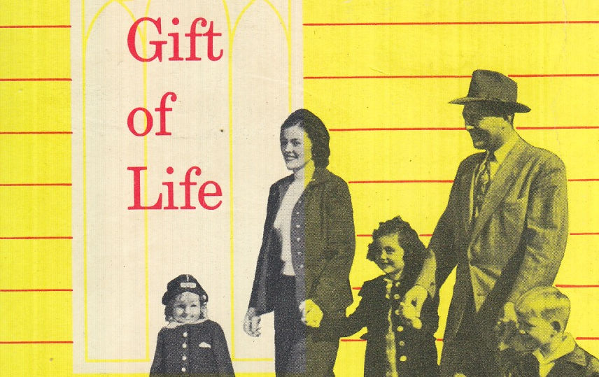 Vintage Heller: The Real Truth About Babies, Voila!