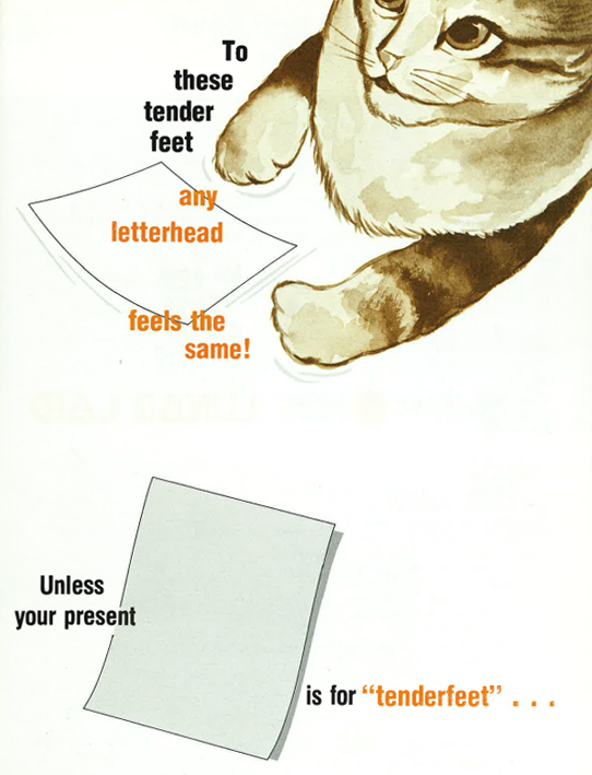 to these tender feet any letterhead feels the same!