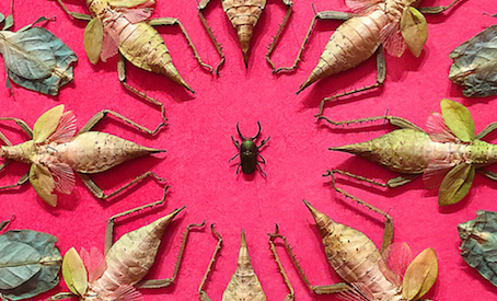 Photography Encouraged: WONDER at the Renwick Gallery