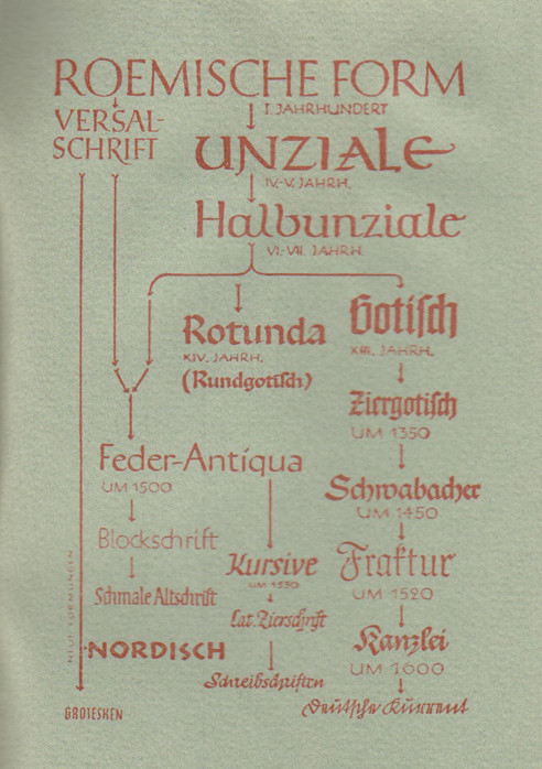 brause 7