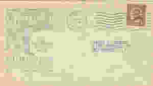 Scan 8