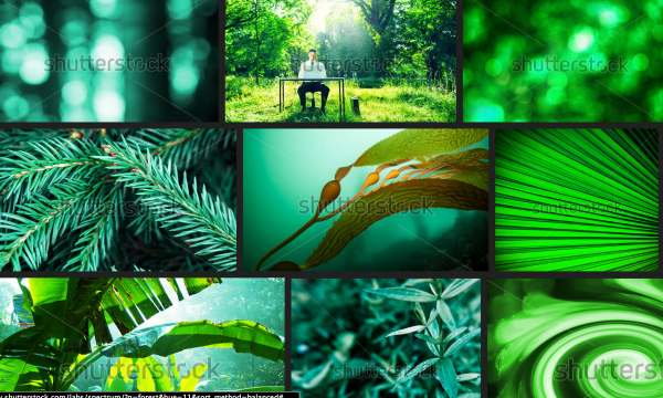 Shutterstock Spectrum