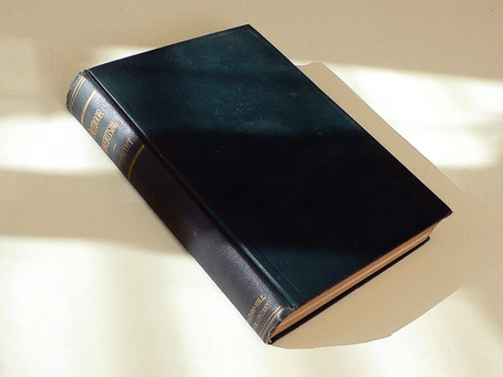 Rediscovering The Great Outdoors . . . And My Own Library