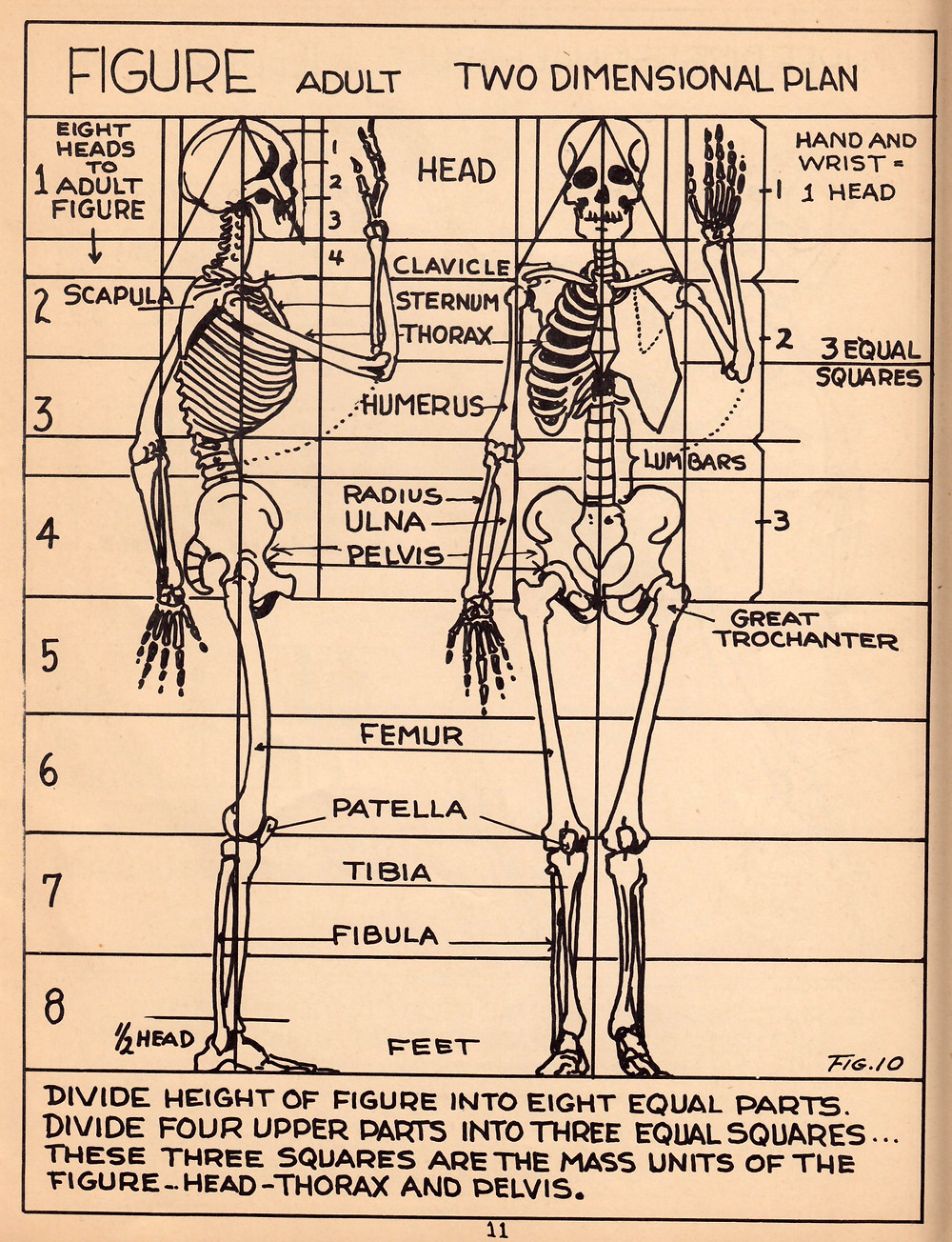 A simplified art anatomy