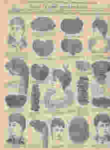 koch 8