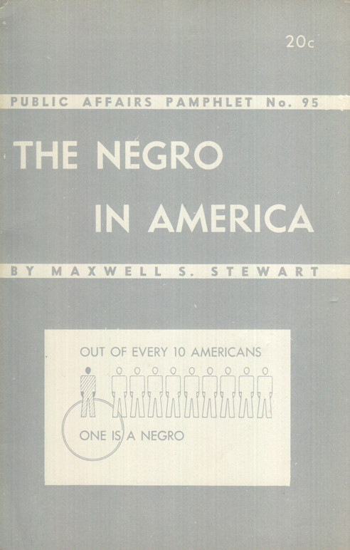 the negro in america