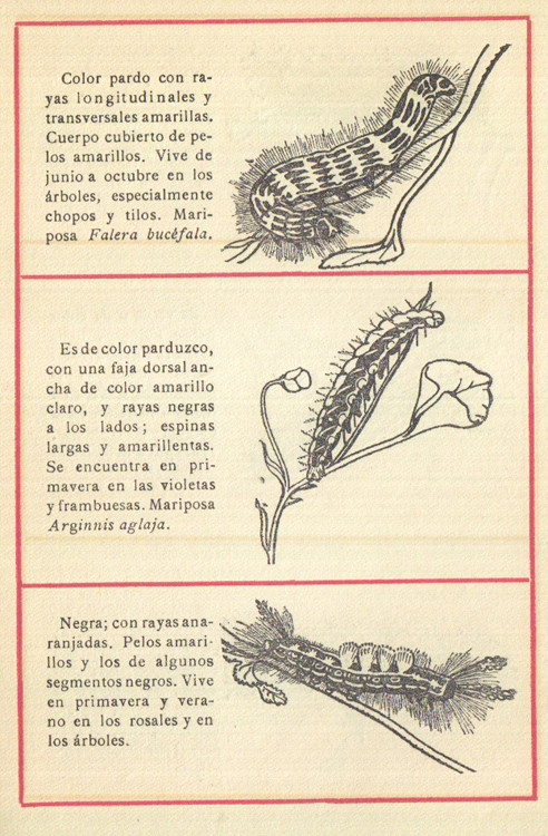 spanish cover designs