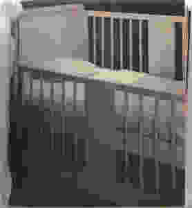 Steichen 1