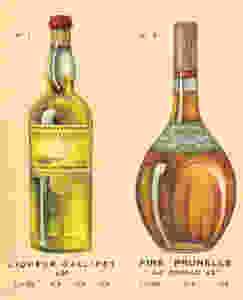 bottle design prunelle