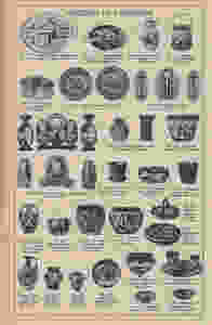 Scan 7
