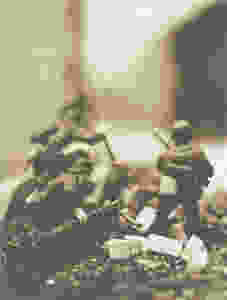 levinthal 3