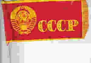 scan-7