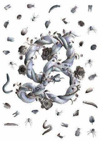 Argument essay sagmeister image